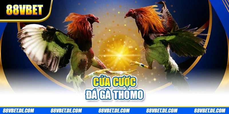 Cửa cược đá gà thomo