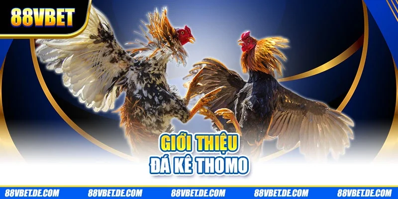 Giới thiệu đá kê thomo