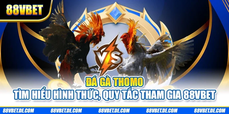 Đá gà thomo